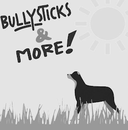 BULLYSTICKS & MORE