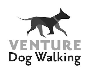 VENTURE DOG WALKING