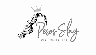 PESOS SLAY WIG COLLECTION