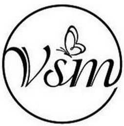VSM