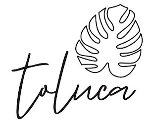 TOLUCA