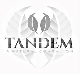 TANDEM A NATURAL COMPANION