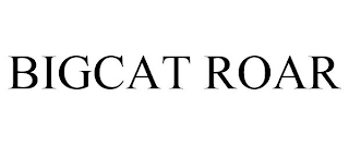 BIGCAT ROAR