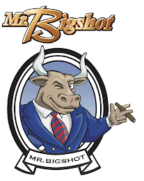 MR. BIGSHOT MR. BIGSHOT