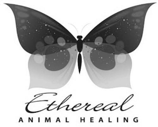 ETHEREAL ANIMAL HEALING