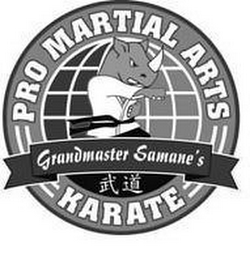 GRANDMASTER SAMANE'S PRO MARTIAL ARTS KARATE