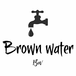 BROWN WATER BW