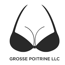 GROSSE POITRINE LLC