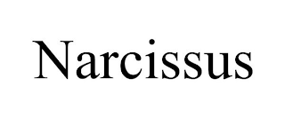 NARCISSUS