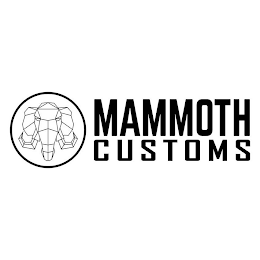 MAMMOTH CUSTOMS