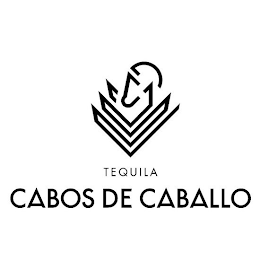 CABOS DE CABALLO TEQUILA