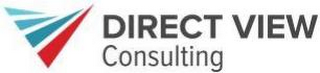 DIRECT VIEW CONSULTING