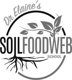 DR ELAINE'S SOILFOODWEB SCHOOL