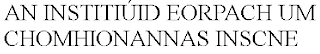 AN INSTITIÚID EORPACH UM CHOMHIONANNAS INSCNE