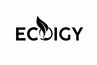 ECOIGY