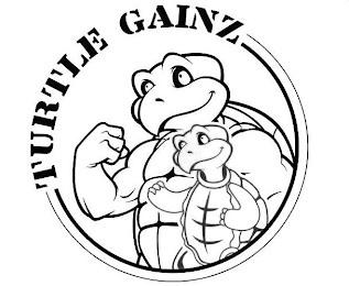 TURTLE GAINZ