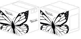 NEW ENGLAND BIOLABS INC.