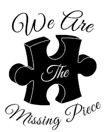 WE ARE THE MISSING PIECE