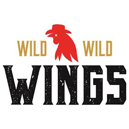 WILD WILD WINGS