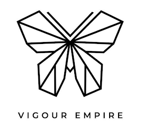 VIGOUR EMPIRE