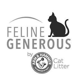 FELINE GENEROUS BY ARM & HAMMER THE STANDARD OF PURITY CAT LITTER