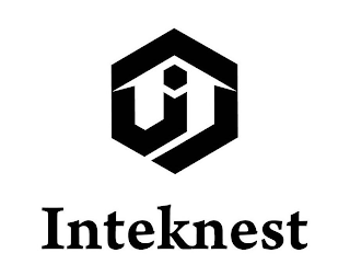 INTEKNEST