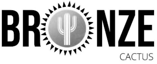 BRONZE CACTUS