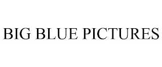 BIG BLUE PICTURES