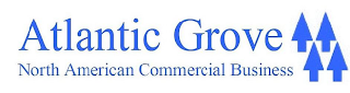 ATLANTIC GROVE NORTH AMERICAN COMMERCIAL BUSINESS