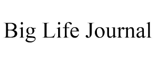 BIG LIFE JOURNAL