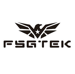 FSGTEK