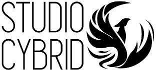 STUDIO CYBRID