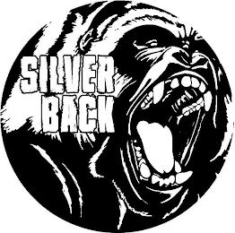 SILVER BACK