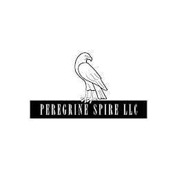 PEREGRINE SPIRE LLC