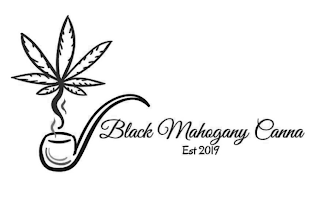 BLACK MAHOGANY CANNA EST 2019