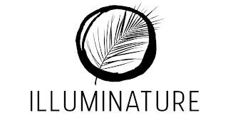 ILLUMINATURE