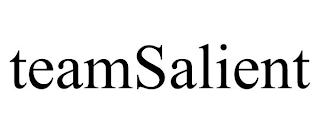 TEAMSALIENT