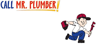 CALL MR. PLUMBER!