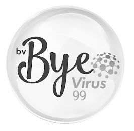 BV BYE VIRUS 99