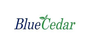 BLUECEDAR