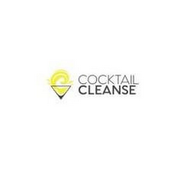 COCKTAIL CLEANSE