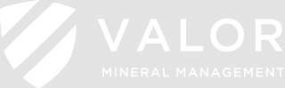 VALOR MINERAL MANAGEMENT