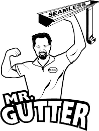 MR. GUTTER SEAMLESS MR. GUTTER