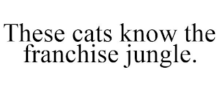 THESE CATS KNOW THE FRANCHISE JUNGLE.