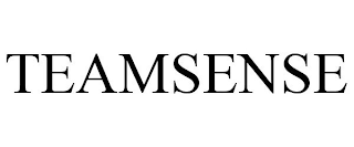 TEAMSENSE