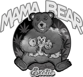 MAMA BEAR EXOTIC