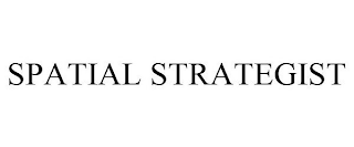 SPATIAL STRATEGIST