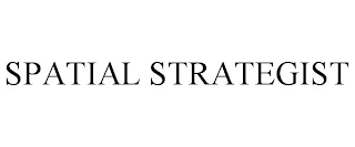 SPATIAL STRATEGIES