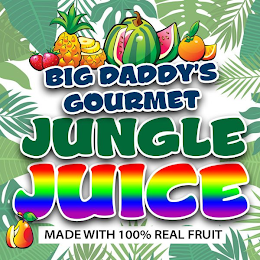 BIG DADDY'S GOURMET JUNGLE JUICE MADE WITH 100% REAL FRUIT