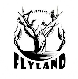 FLYLAND FLYLAND